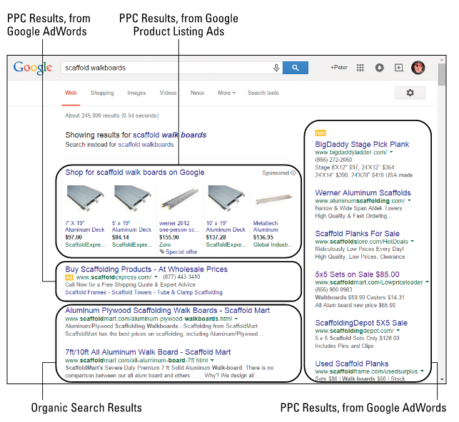 google ppc vs organic search