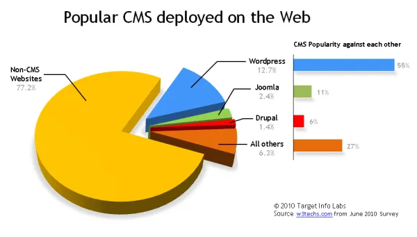 What a content management system is