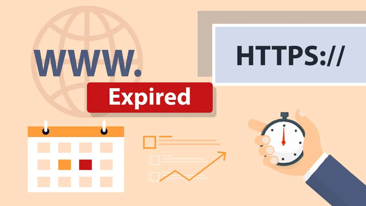 What is an expired domain