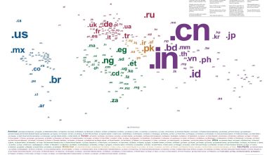 What are country code top-level domains (ccTLDs)